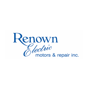 Renown Electric steps